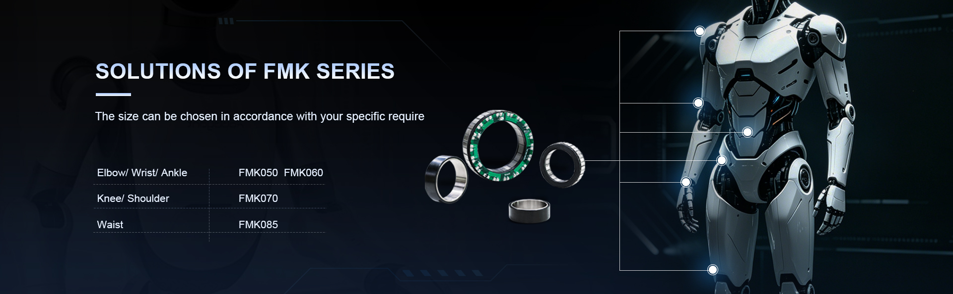 FMK-Frameless Torque Motor-3